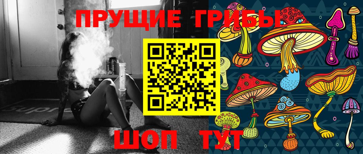 Калуга  Псилоцибиновые грибы MAGIC MUSHROOMS  Вход с VPN  Галлюциногенные грибы Psilocybe 