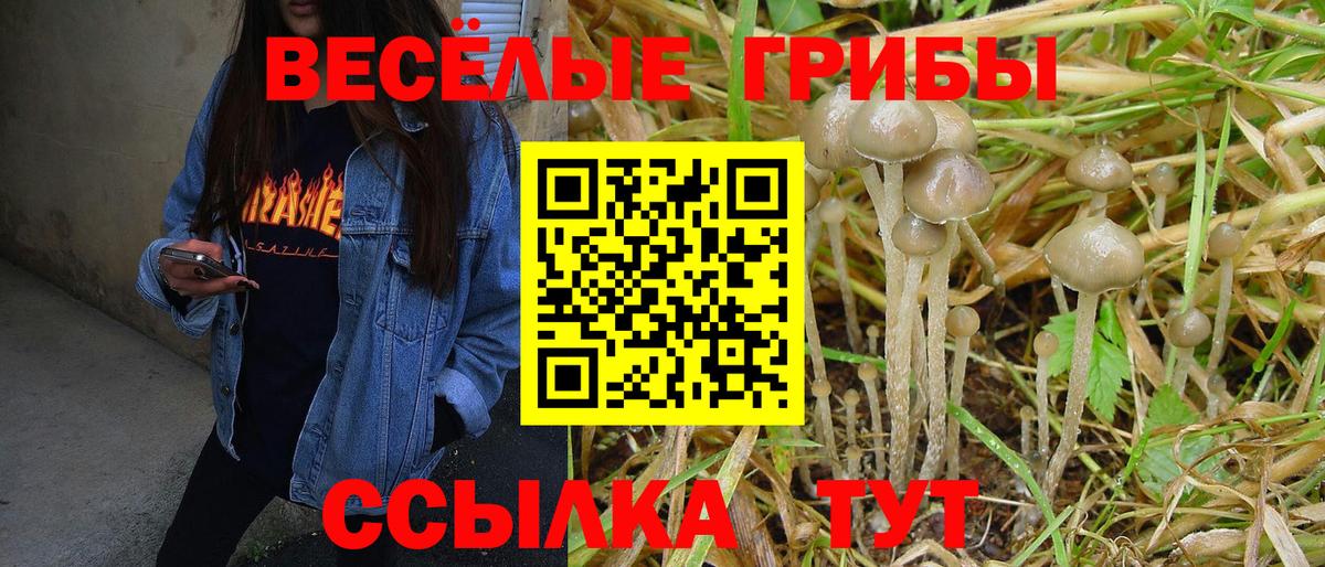 Псилоцибиновые грибы GOLDEN TEACHER Калуга
